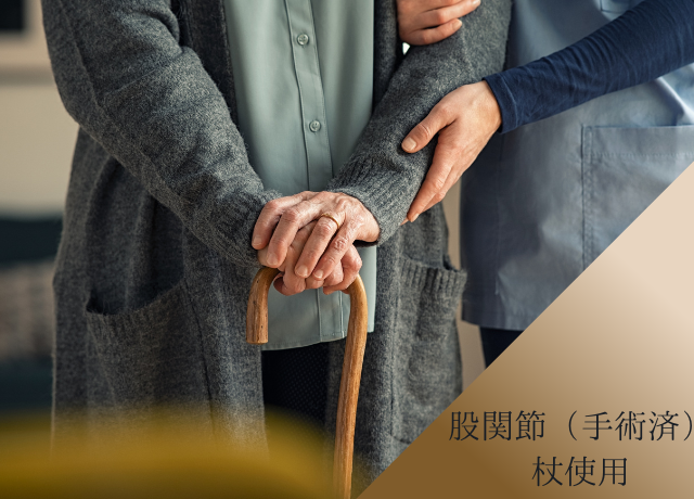 股関節疾患